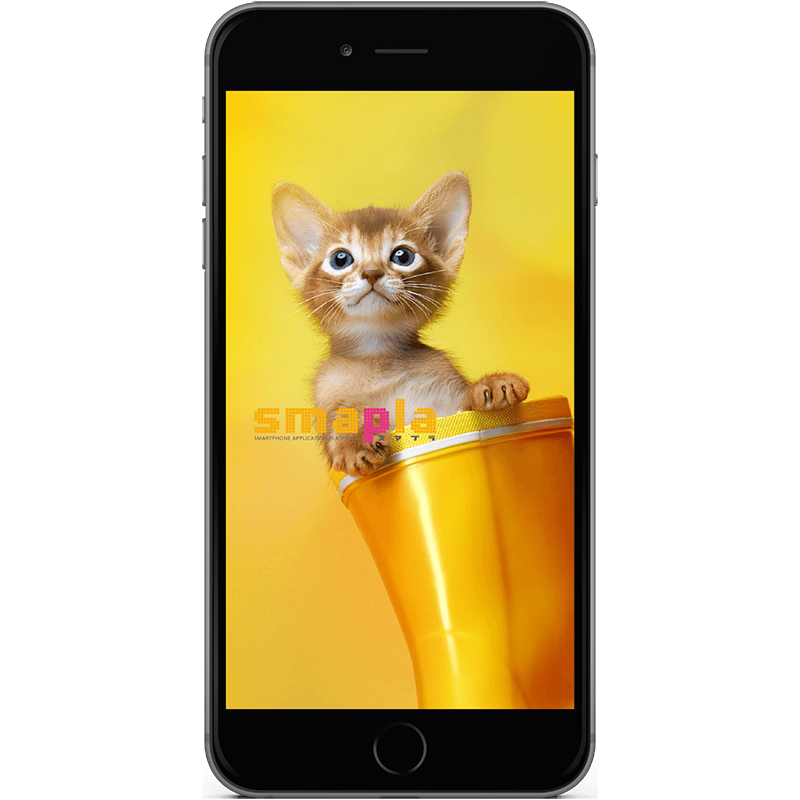 スプラッシュ画面1